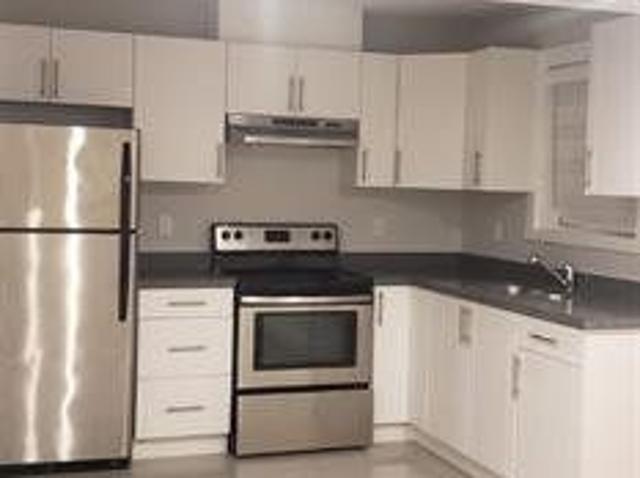 Beautiful Langley Basement Suite