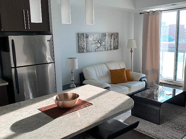 Beautiful Luxury Condo