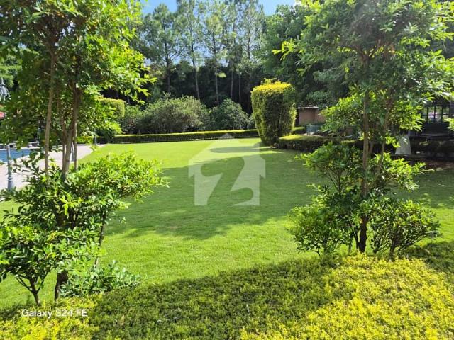 Beautiful Luxurious House Available For Sale In F 8 Islamabad. 7 Bedrooms | Top Off Location. Low Price