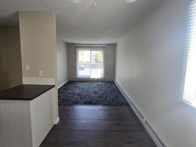 Beautiful Modern One Bedroom Available Now