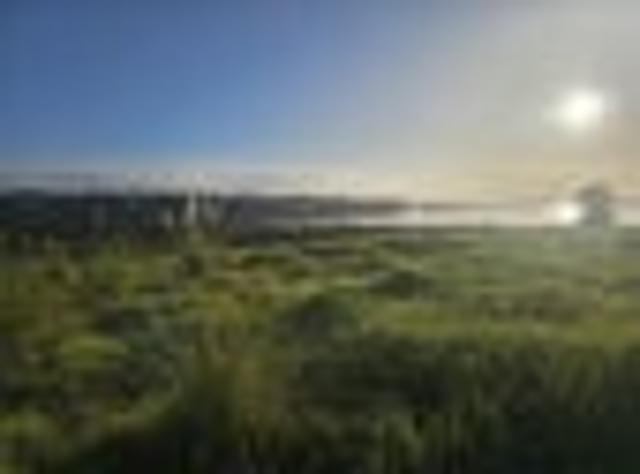 Beautiful | North facing | Waterfront