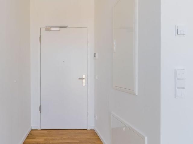Beautiful new build roof top one bedroom apartment in Alt Treptow, Berlin Amsterdam Apartments for Rent