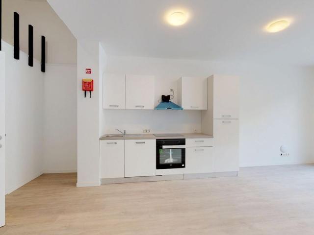 Beautiful, spacious studio with garden! AVAILABLE FROM 01/07 31/08
