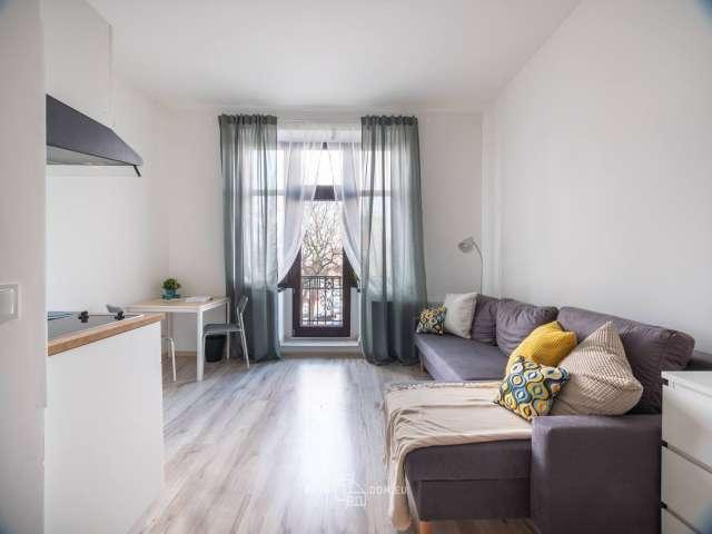 Beautiful studio in Katowice