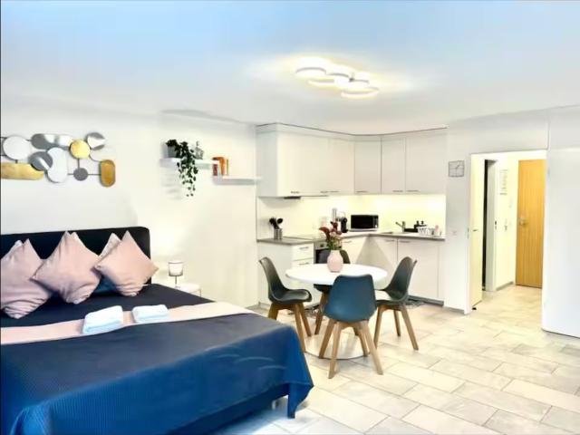 Beautiful Studio in Zurich Dietikon Free Parking, Dietikon Amsterdam Apartments for Rent