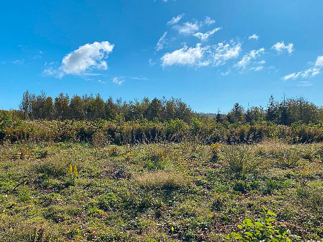 Beautiful Views Of The Northumberland Strait! 3.19 Acres