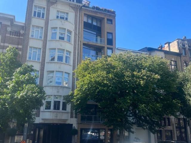 Beautifully renovated studio with large garden AVAILABLE IMMEDIATELY