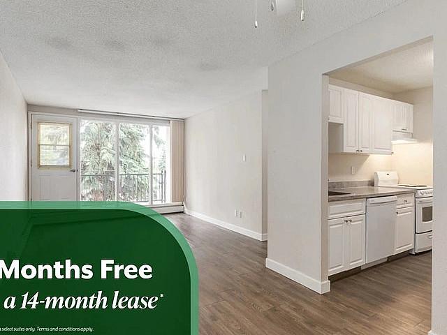 Beautifully Renovated Suites With Walk in Closets | Gym, Social