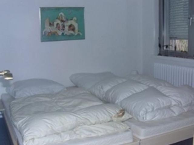 Beauty, cultivated summer cottage with garden in Berlin! Freely on inquiry!
