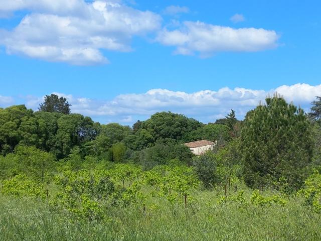 Beauvoisin Vente Terrain 30