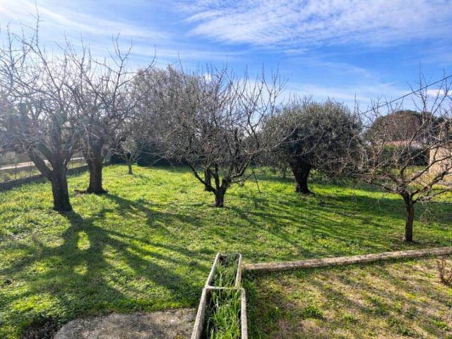 Beauvoisin Vente Terrain 30