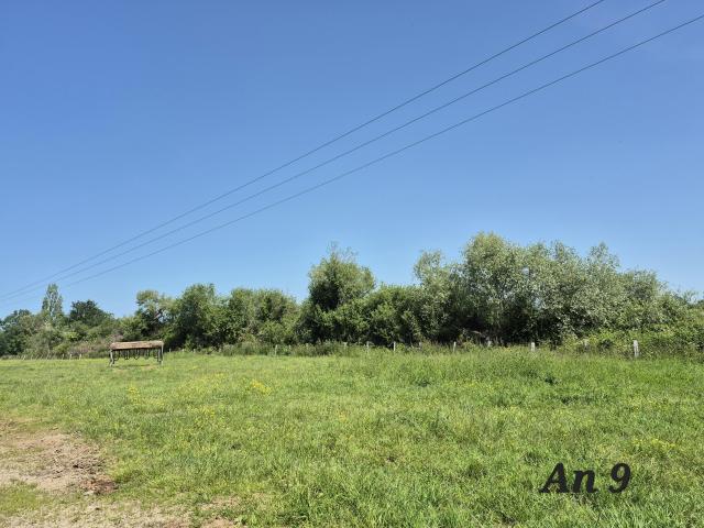 Beauvoir sur Mer Vente Terrain 85