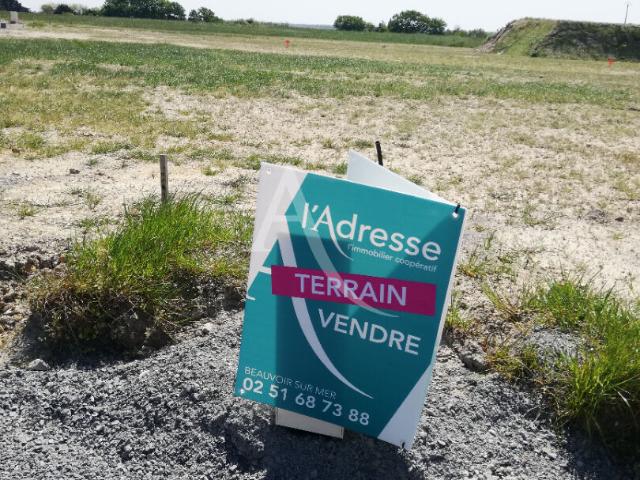 Beauvoir sur Mer Vente Terrain 85