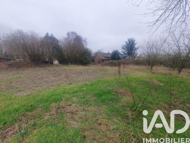 Beauval Vente Terrain 80