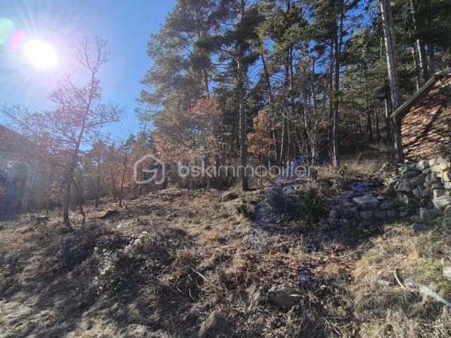 Beauvezer Vente Terrain 04