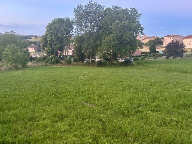 Beaux Vente Terrain 43