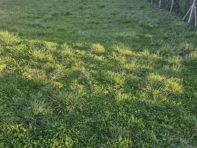 Beauzac 43590 Achat / Vente terrain
