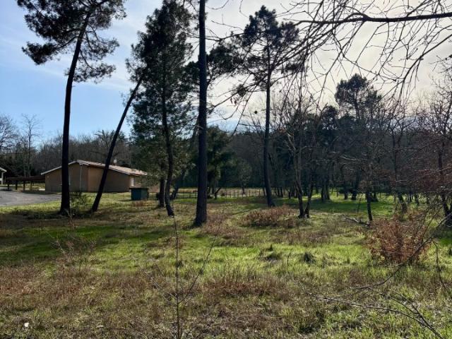 Beauziac Vente Terrain 47