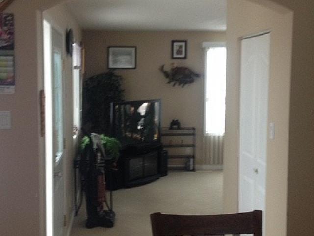 Beaver County Acreage For Sale