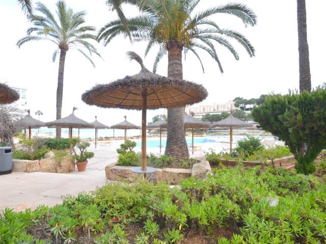 Beach Apartment for rent in Cala Vinyes / Cala Vinyas / Cala Viñas, Calvià, Mallorca