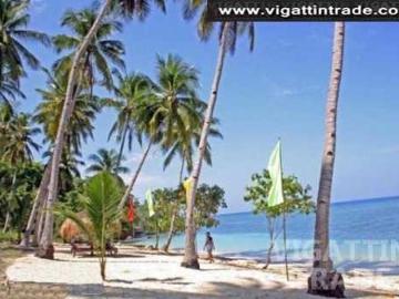 Beach lots or resort