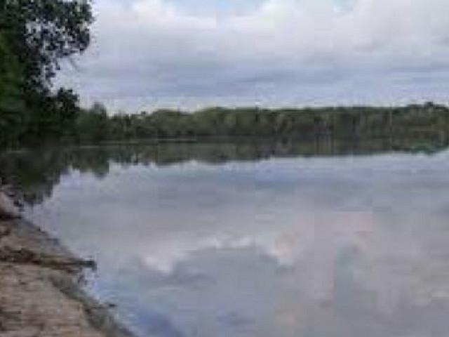 Bear Trap At Ponhook Lake Close To Bridgewater Ns