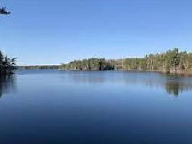 Bear Trap At Ponhook Lake Close To Bridgewater Ns