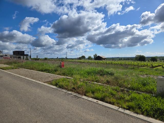 Beblenheim Vente Terrain 68