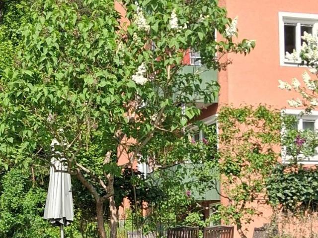 Beckasinvägen, Nacka
