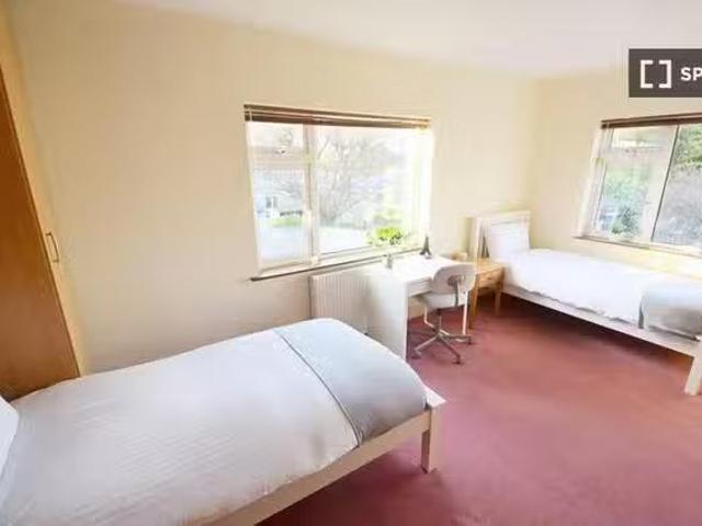 Bed in a shared room for rent in Southside, Dublin