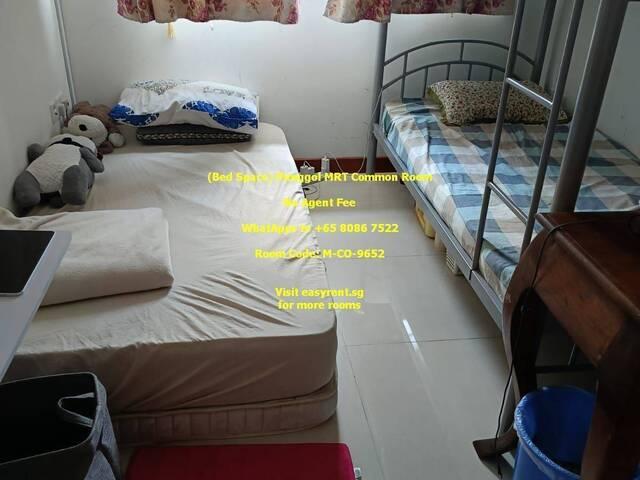 Bed Space Punggol MRT Common Room