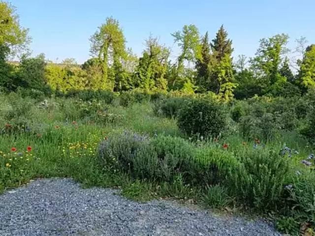 Bédarrides 84370 Achat / Vente terrain
