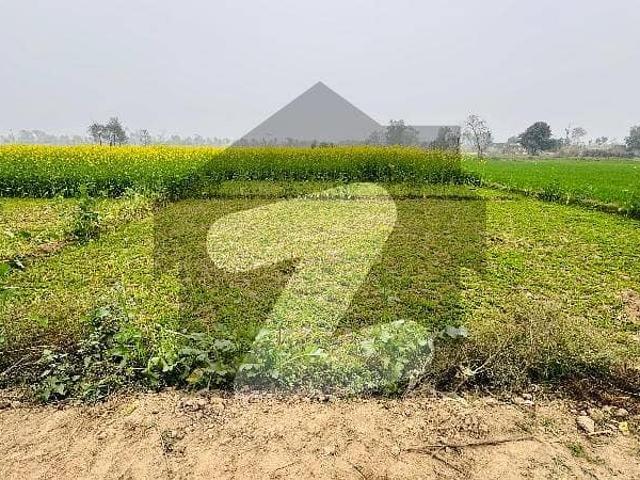Bedian road 4 kanal agricultural land for sale