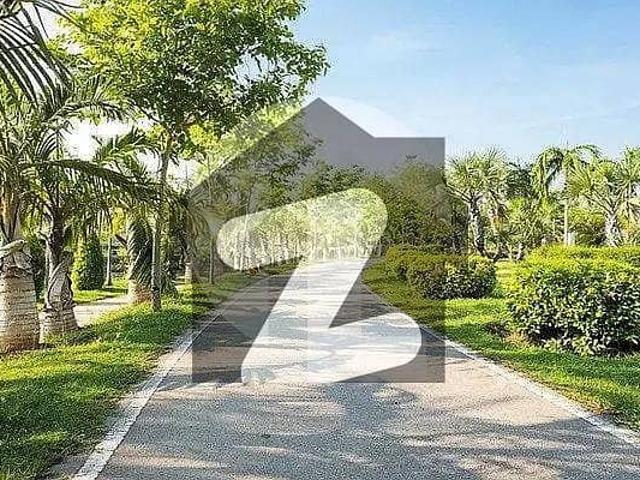 Bedian road 1 acre farm house land for sale nearest to dha phase 6 & 7 lahore