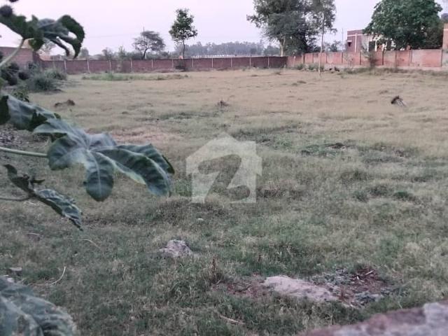 Bedian road moza baho bola lahore 34 acre 272kanal agricultural land for sale