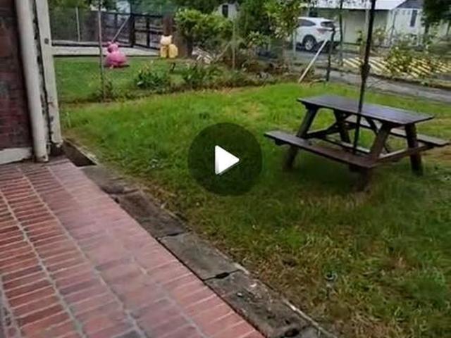Bedok Avenue D16, Terrace