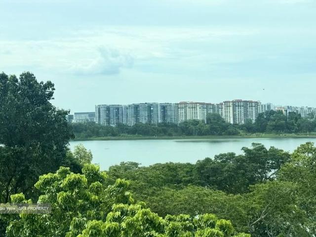 Bedok Reservoir Garden Bedok, HDB Executive