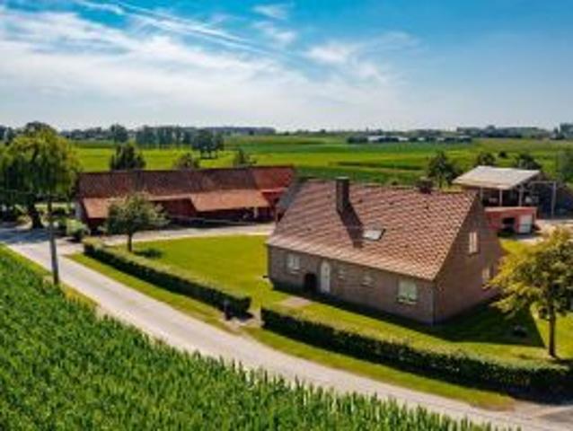Bedrijfsvastgoed te koop in Kruishoutem 9770
