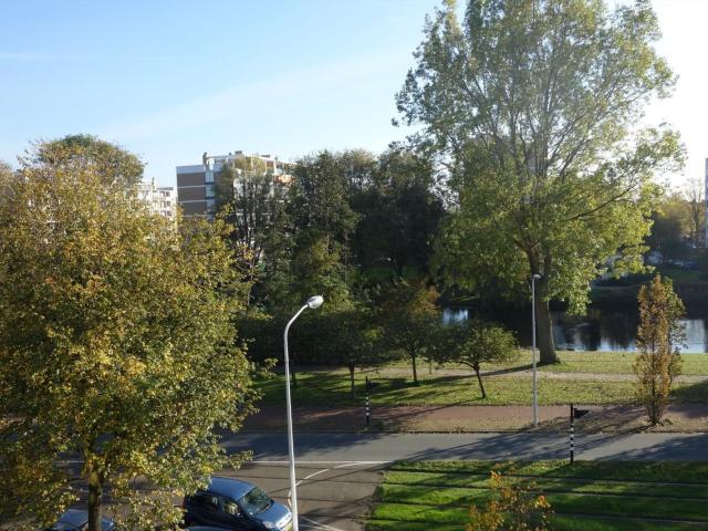 Beethovenlaan, 2551KA, Den Haag, Zuid Holland 2551KA