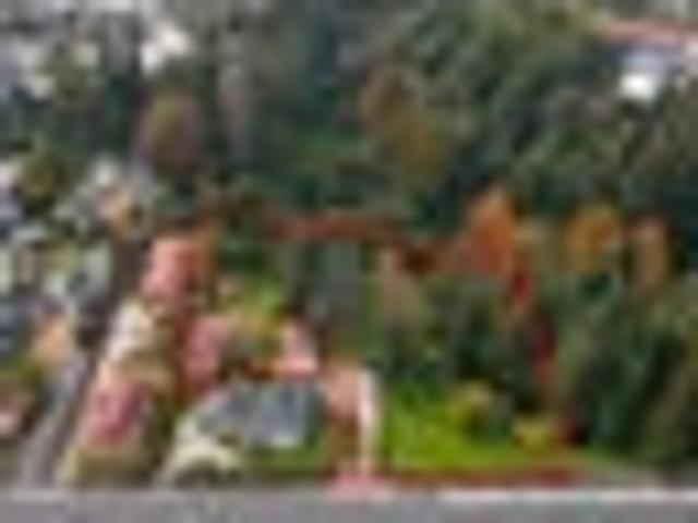 Beerescourt, 3 bedrooms, $650 pw