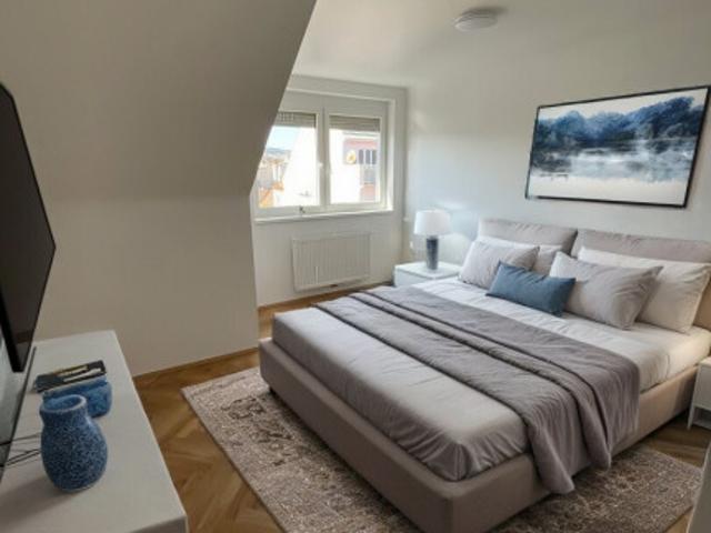 Befristet vermietet: Dachgeschosswohnung mit 2 Zimmern und 13 m² Terrasse