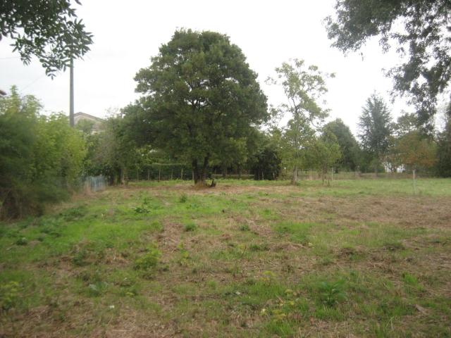 Béguey Vente Terrain 33