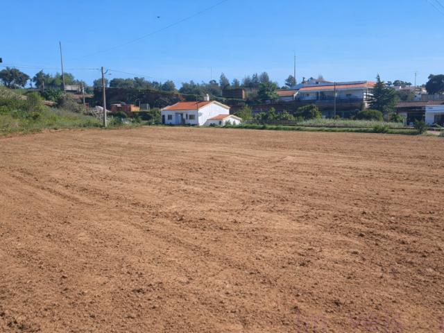 Beja Ourique 7670 LS101613009