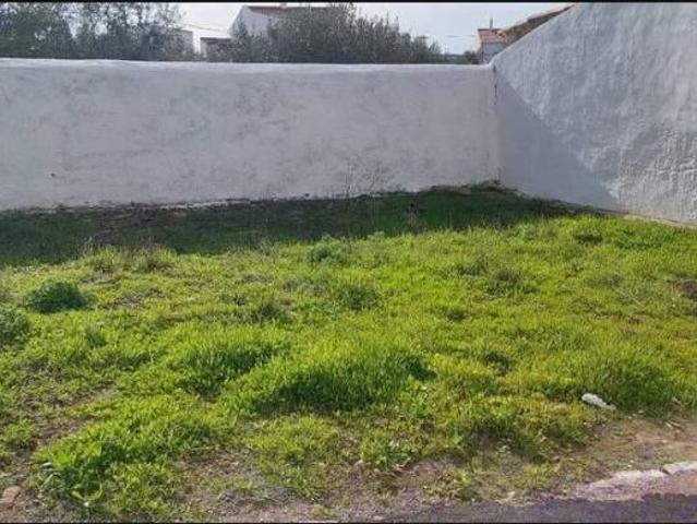 Beja Almodôvar 7700 101763091