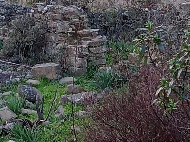 Beja Almodôvar 7700 98461735