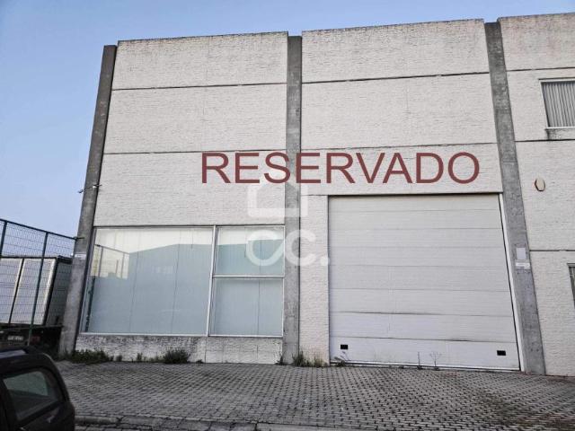 Beja Beja 101053670
