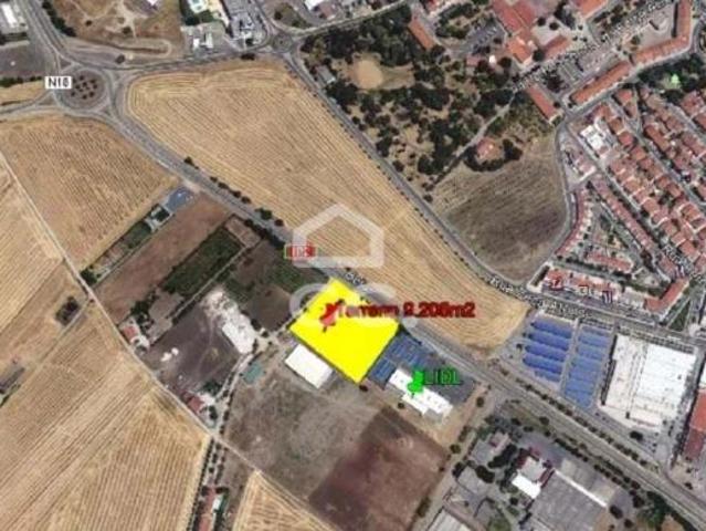 Beja Beja 63117291