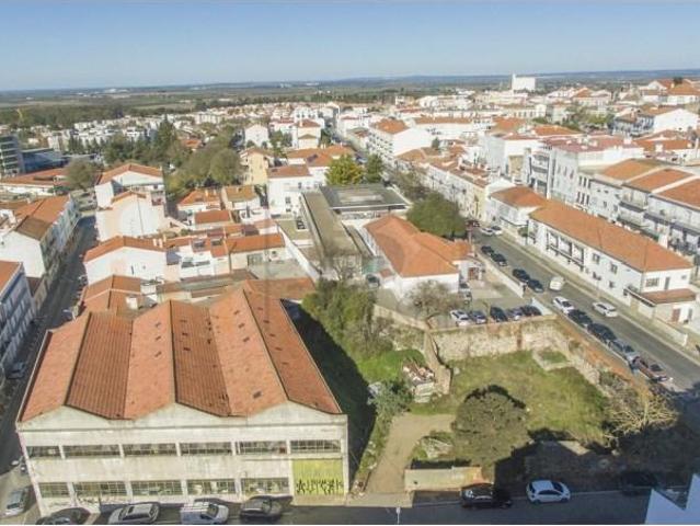 Beja Beja 88636787
