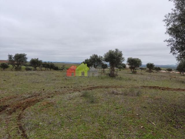 Beja Beja 96292613