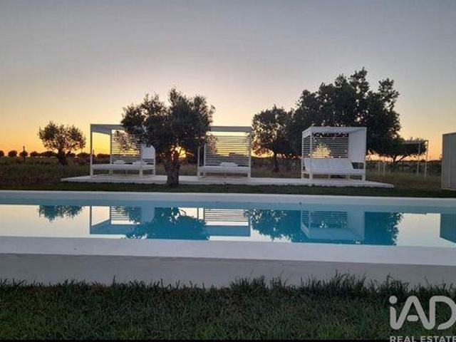 Beja Beja 98337993
